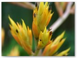 Bavaro_2009_067