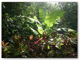 Bavaro_2009_069