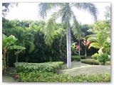 Bavaro_2009_071