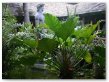 Bavaro_2009_156