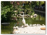 Bavaro_2009_216