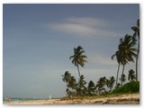 Bavaro_2009_245