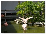 Bavaro_2009_250